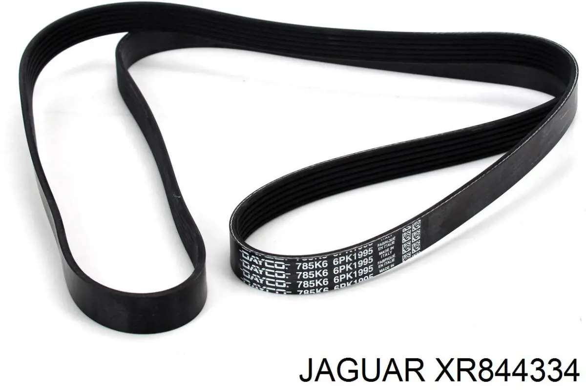 XR844334 Jaguar Поліклиновий ремінь