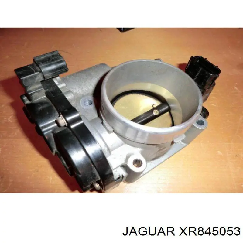  XR845053 Jaguar