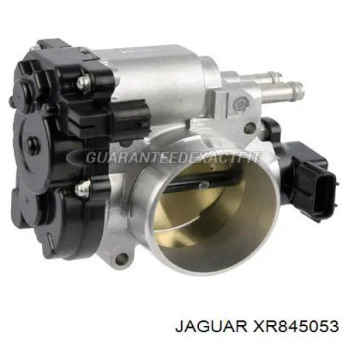 C2S16013 Jaguar 