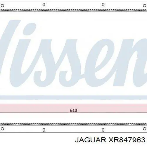  XR847963 Jaguar