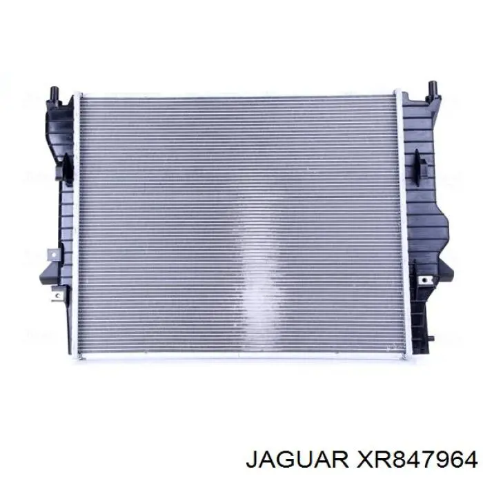 XR847964 Jaguar радіатор охолодження двигуна