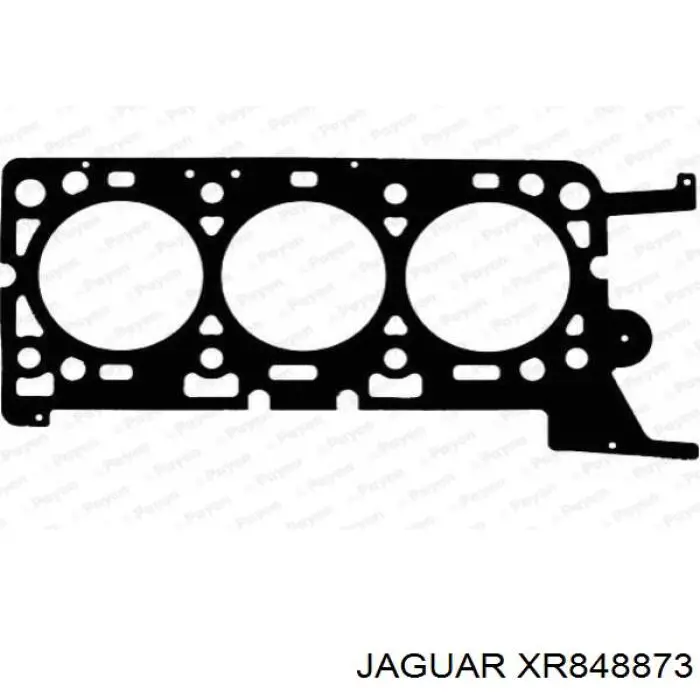 Прокладка головки блока циліндрів (ГБЦ), ліва XR857983 Jaguar