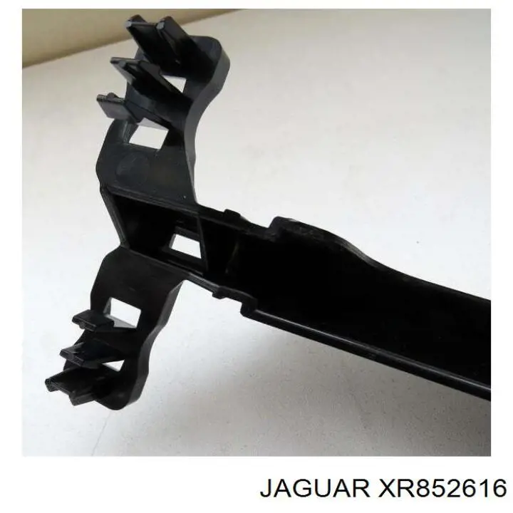XR852616 Jaguar 