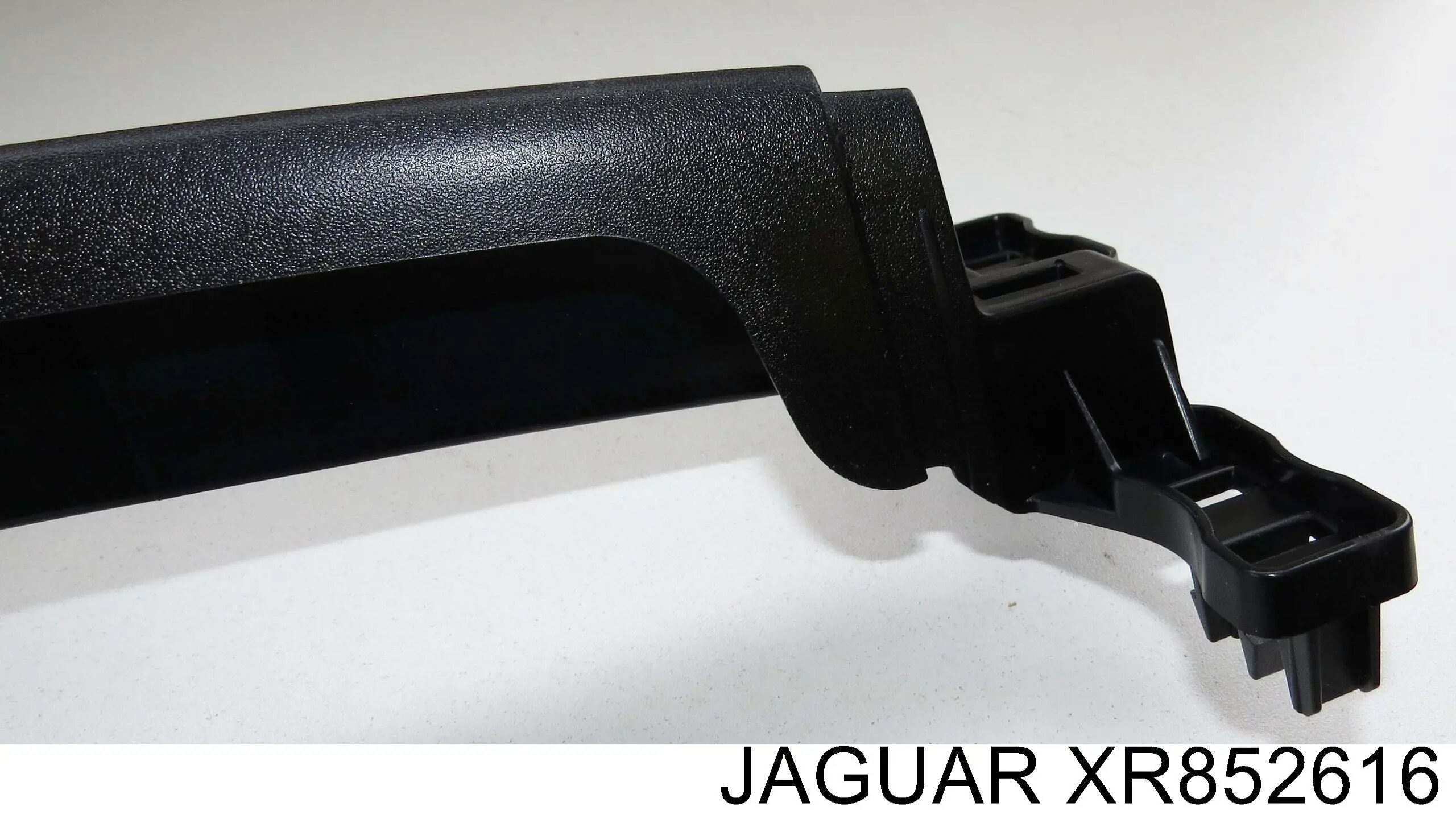  XR852616 Jaguar