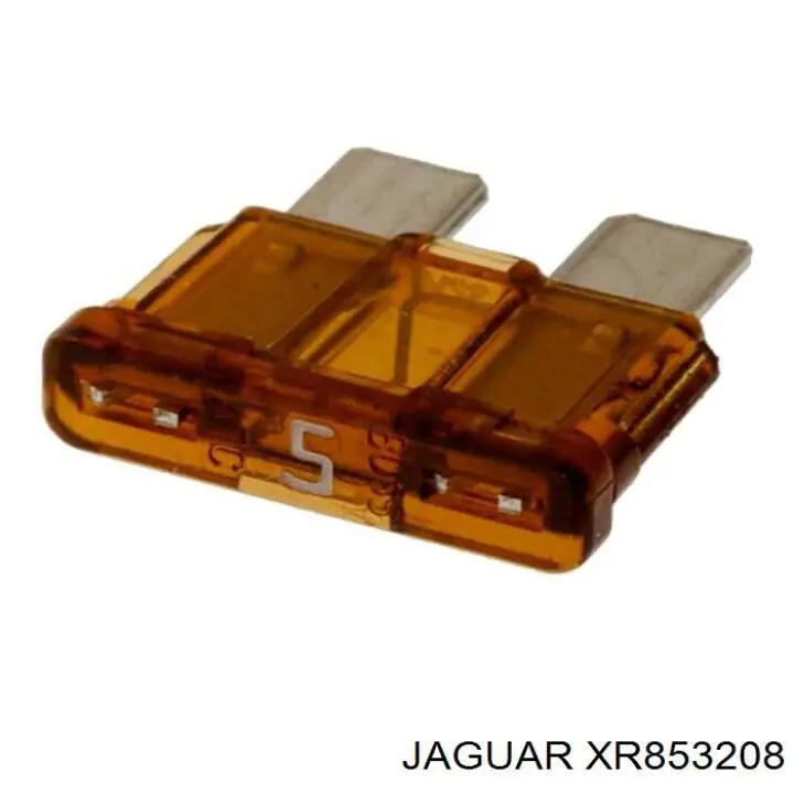  XR853208 Jaguar