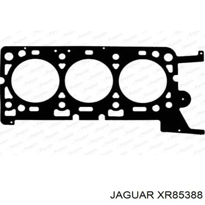 XR85388 Jaguar Прокладка головки блоку циліндрів (ГБЦ), ліва