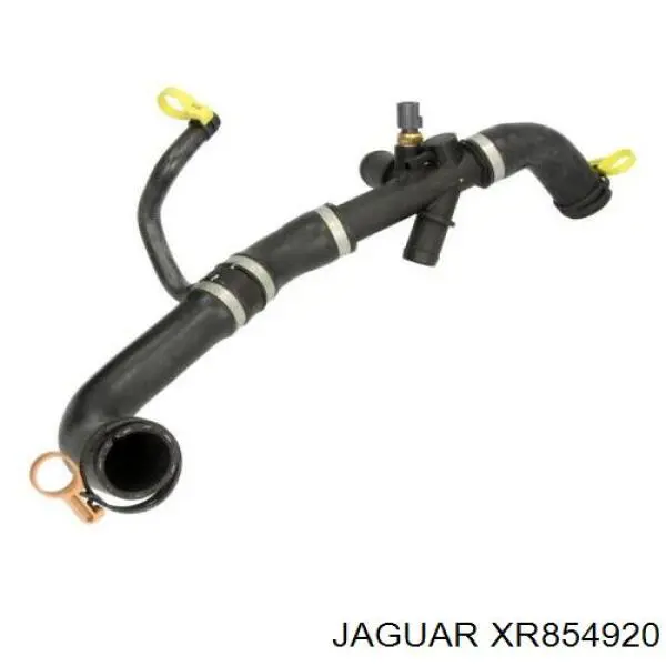 Шланг/патрубок радіатора охолодження, верхній Jaguar XR854920 ціна, від 79.01 USD
