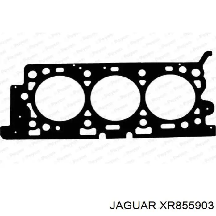 Прокладка головки блока циліндрів (ГБЦ), права Jaguar S-type (CCX) (Ягуар S-type)
