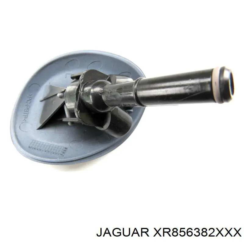  XR856382XXX Jaguar