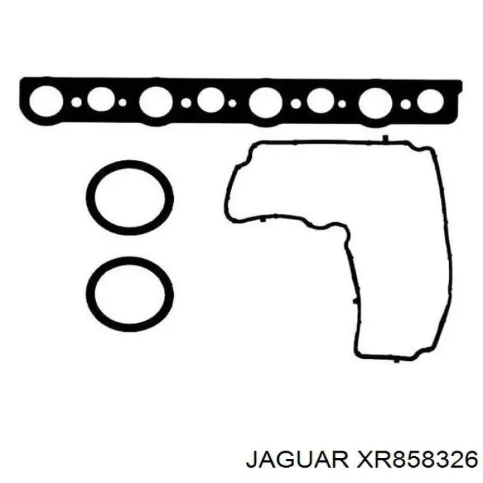  XR858326 Jaguar