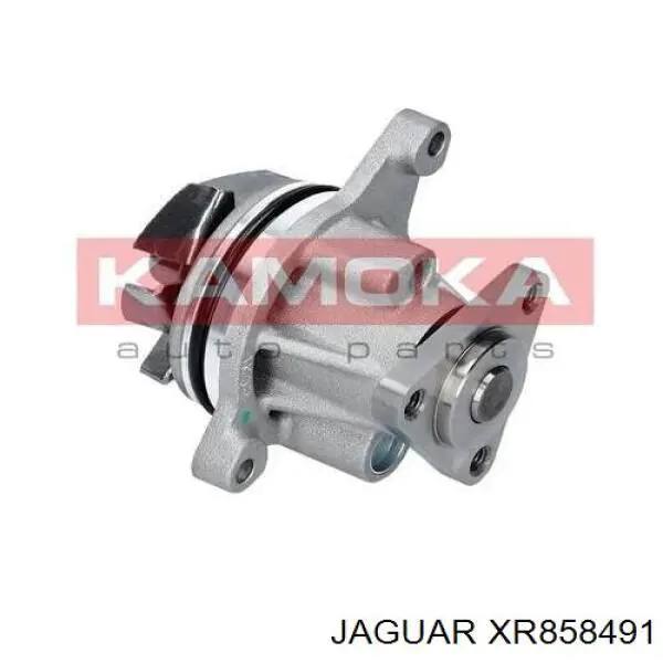 Купити XR858491 Jaguar Насос охолоджуючої рідини