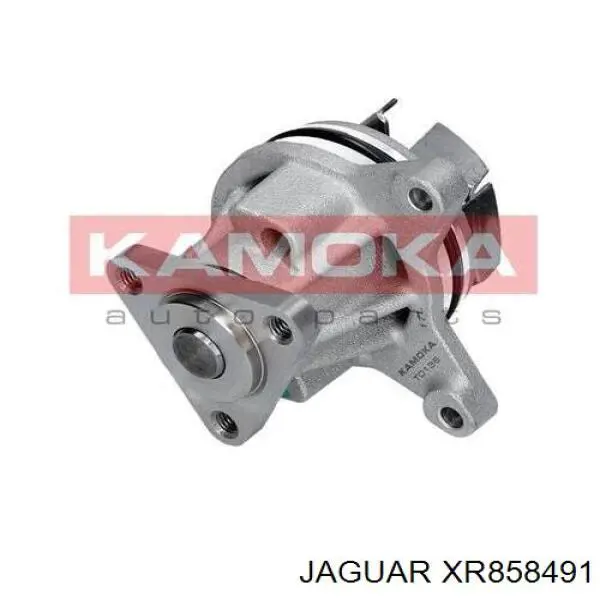 XR858491 Jaguar Насос охолодження
