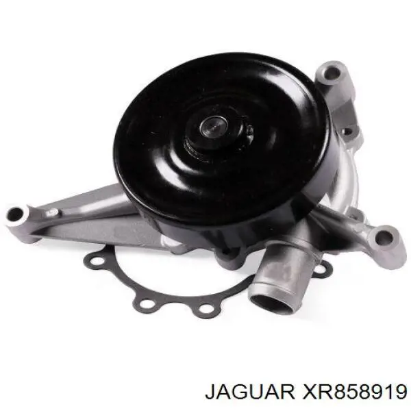 XR858919 Jaguar Насос охолодження