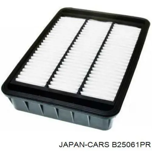 B25061PR Japan Cars Повітряний фільтр двигуна