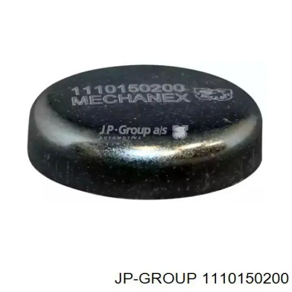 1110150200 JP Group заглушка гбц/блоку циліндрів