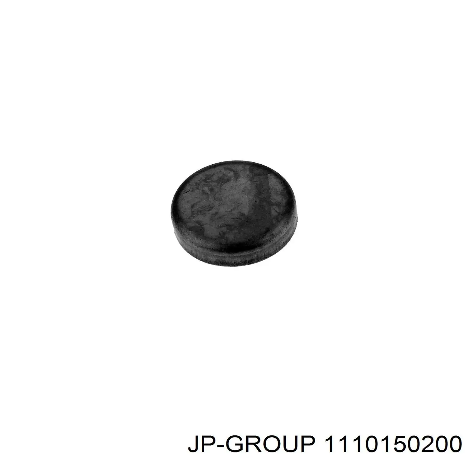 Купити 1110150200 JP Group Заглушка блоку циліндрів