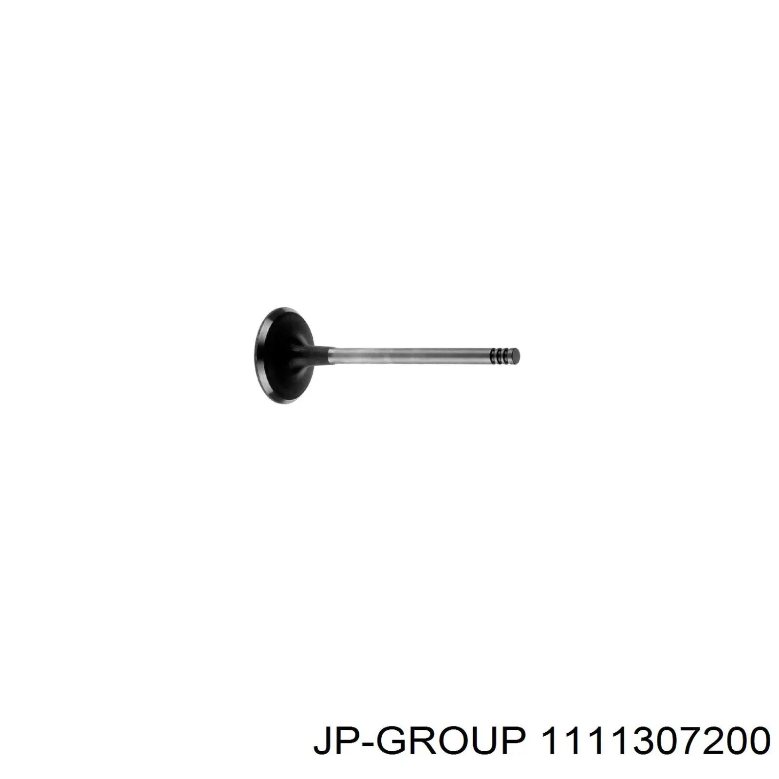 Вихлопний клапан JP Group 1111307200 ціна, від 4.08 USD