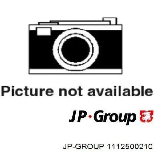 1112500210 JP Group ланцюг грм, комплект