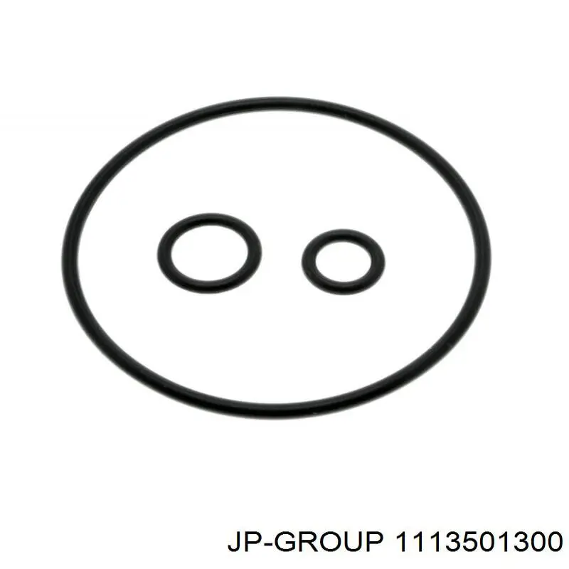 Корпус масляного фільтра JP Group 1113501300