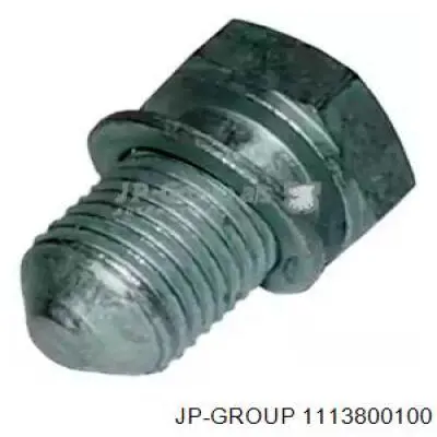 1113800100 JP Group Пробка піддона двигуна