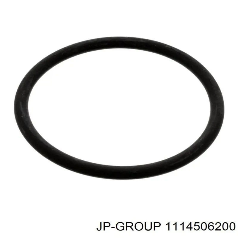 Купити 1114506200 JP Group Кришка термостата