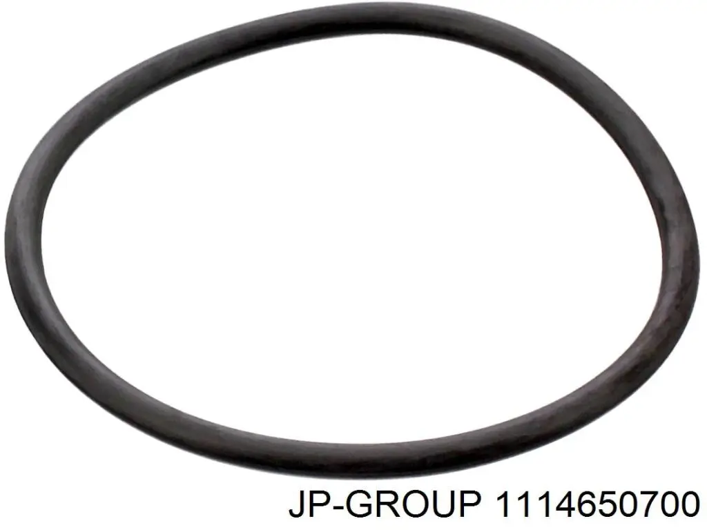 Прокладка корпусу термостата JP Group 1114650700