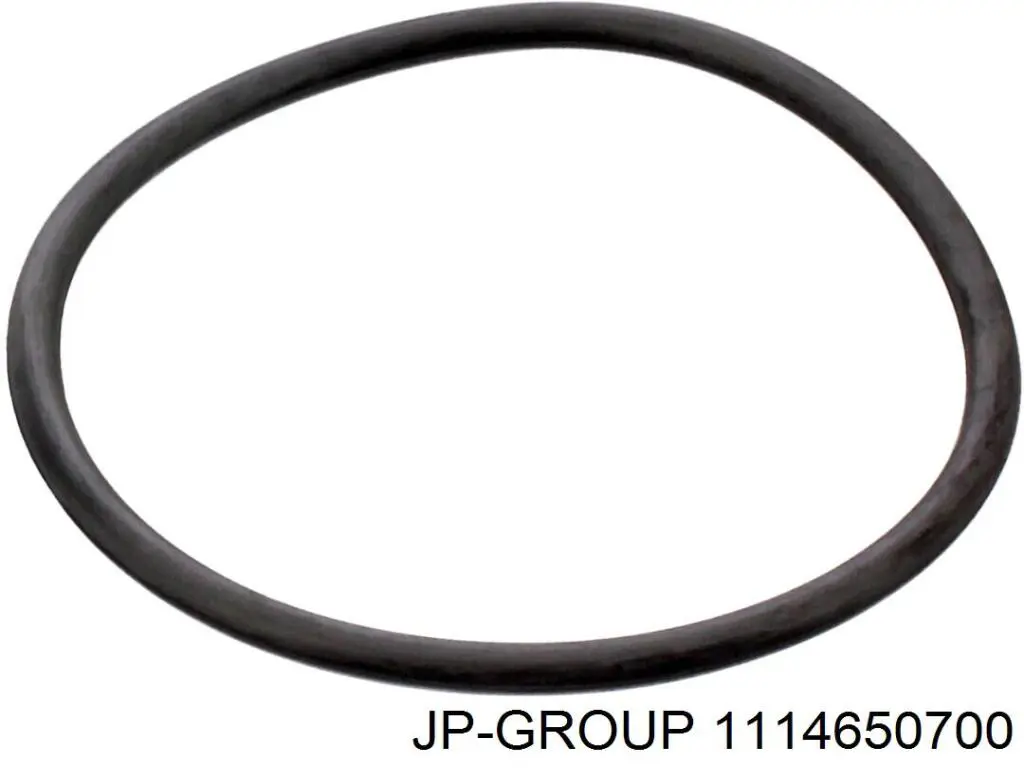 Купити 1114650700 JP Group Прокладка термостата