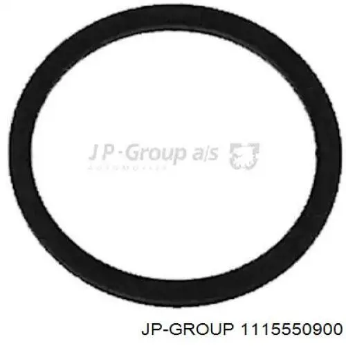 Купити 1115550900 JP Group Кільце форсунки