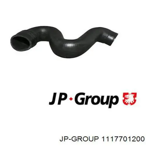 Купити 1117701200 JP Group Патрубок повітряний, дросельної заслінки