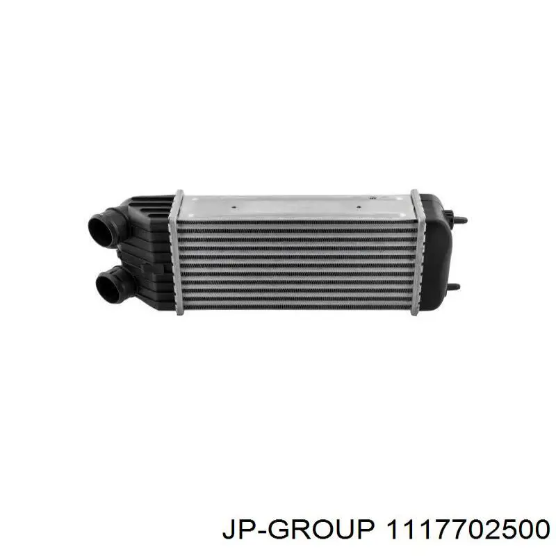 1117702500 JP Group Патрубок повітряний, дросельної заслінки