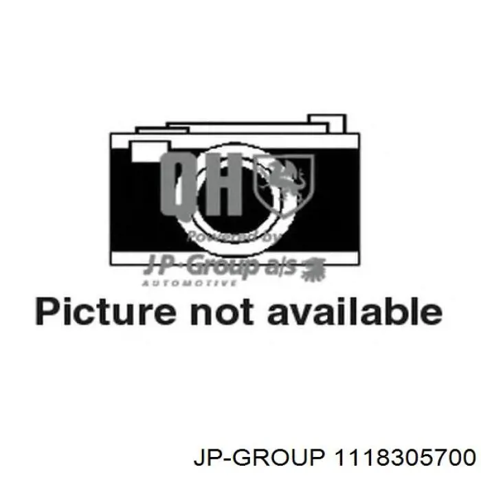 Ролик натягувача приводного ременя JP Group 1118305700