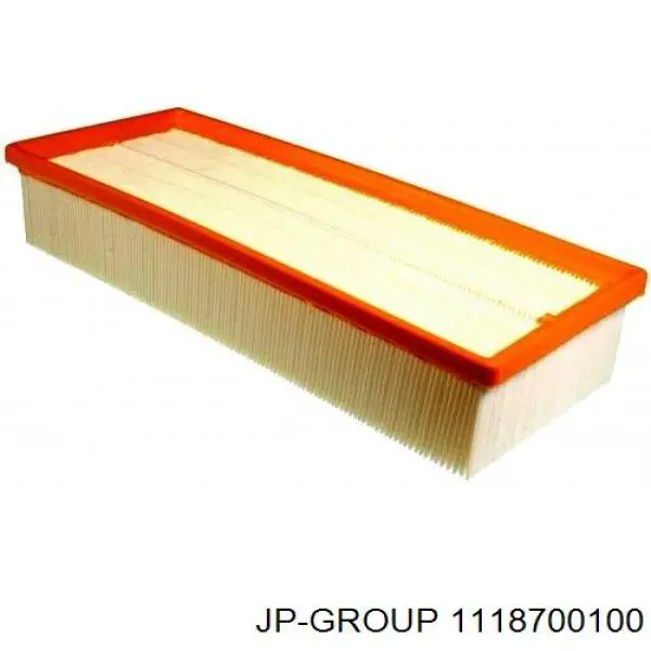 1118700100 JP Group Фільтр палива
