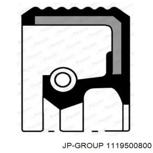 Купити 1119500800 JP Group Сальник распредвала