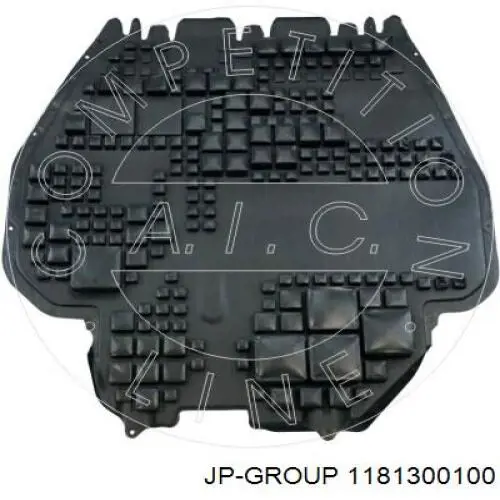 1181300100 JP Group захист двигуна, піддона (моторного відсіку)