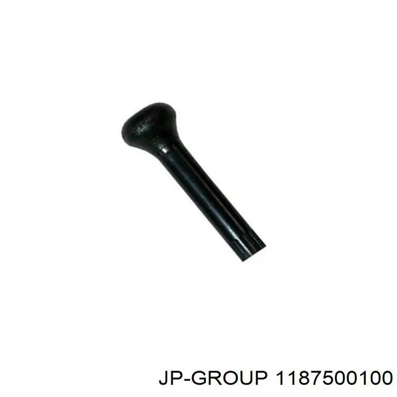 Купити 1187500100 JP Group Кнопка блокування дверей