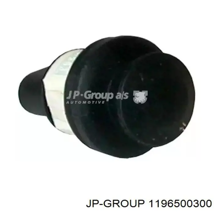 Купити 1196500300 JP Group Датчик закривання дверей (кінцевий вимикач)