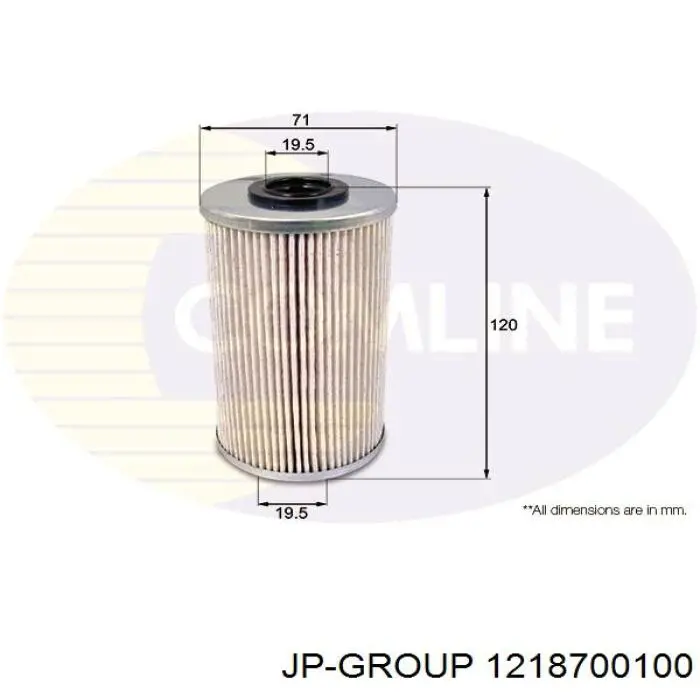 1218700100 JP Group Фільтр палива