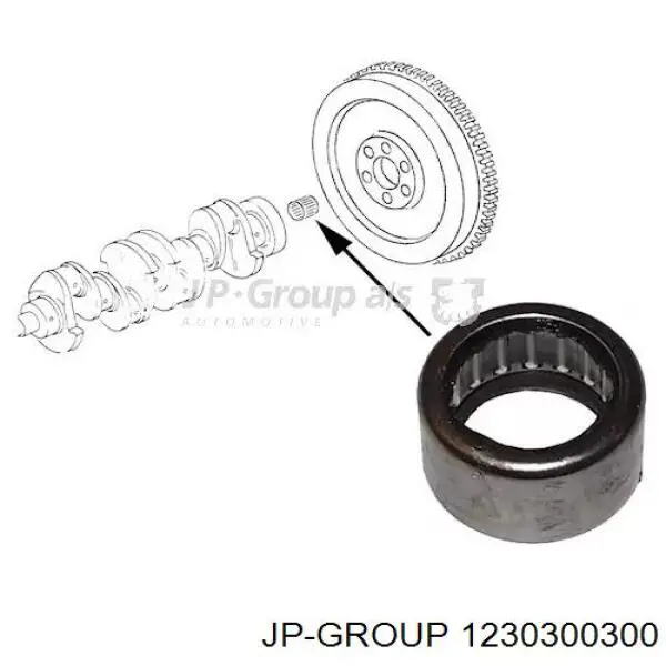 Вижимний підшипник 1230300300 JP Group