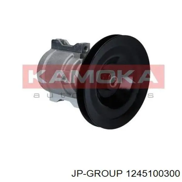 Насос гідропідсилювача керма JP Group 1245100300