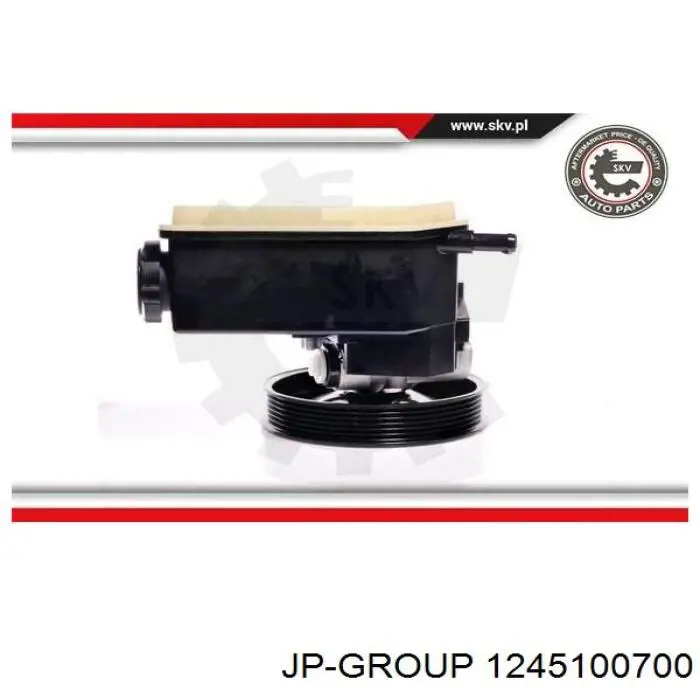 1245100700 JP Group Насос гідропідсилювача