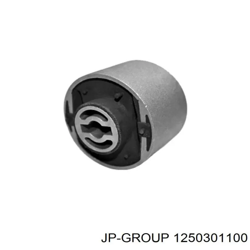 Купити 1250301100 JP Group Сайлентблок заднього поздовжнього важеля, передній