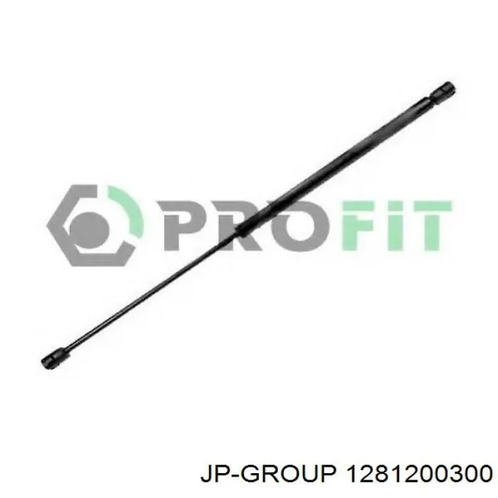 Амортизатор двері задньої JP Group 1281200300 ціна, від 6.71 USD