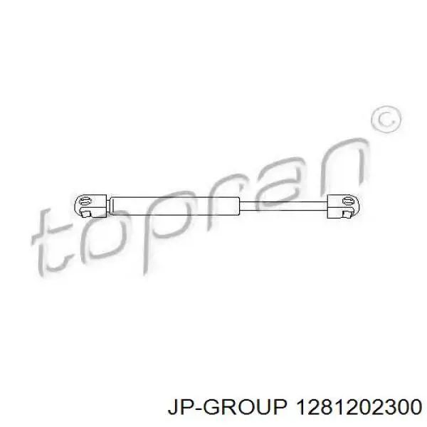 Амортизатор двері задньої JP Group 1281202300 ціна, від 6.97 USD