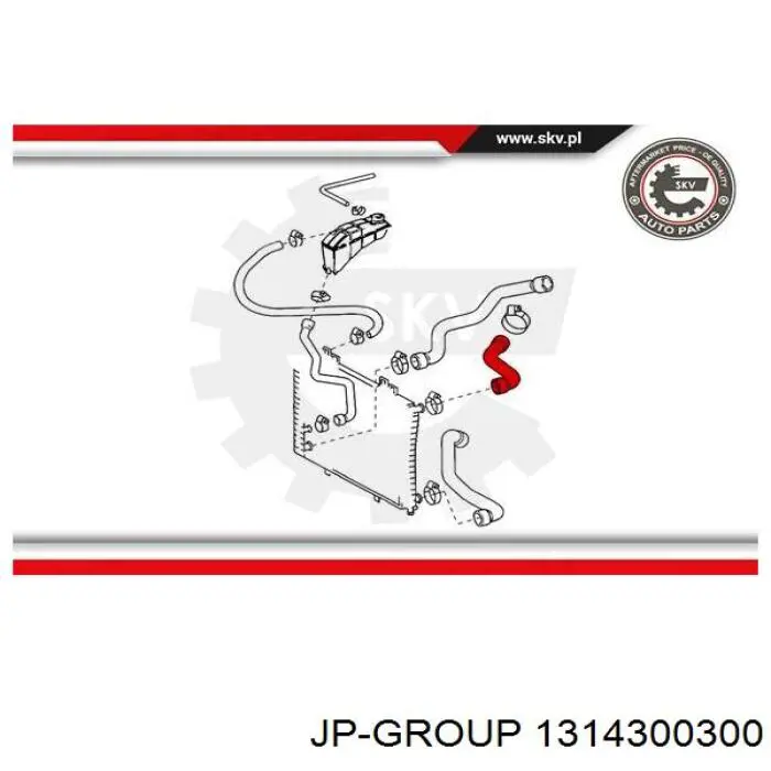 Шланг/патрубок радіатора охолодження, верхній 1314300300 JP Group