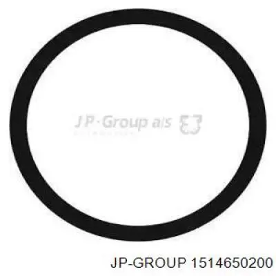 1514650200 JP Group Прокладка термостата