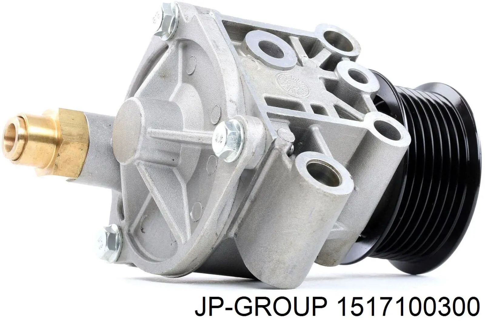 Купити 1517100300 JP Group Вакуумний насос