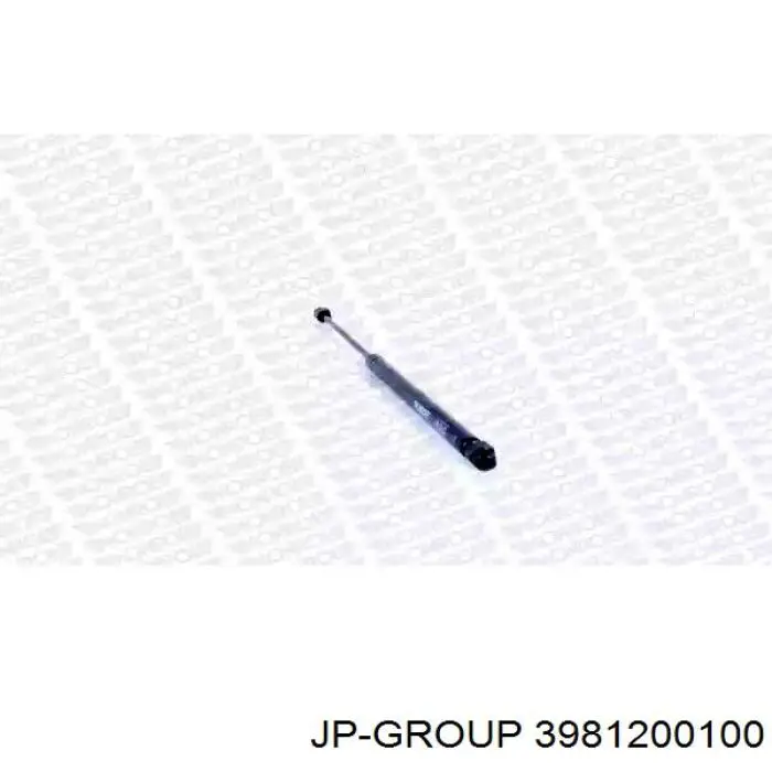 Амортизатор двері задньої JP Group 3981200100 ціна, від 6.60 USD