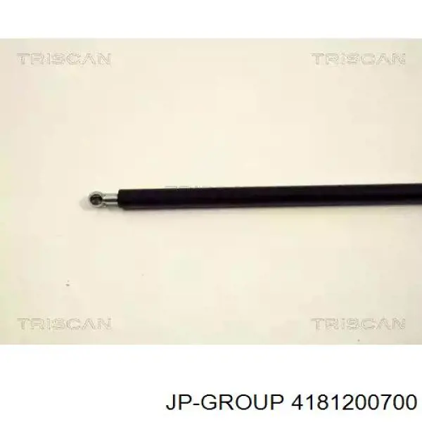 Амортизатор двері задньої JP Group 4181200700 ціна, від 9.39 USD