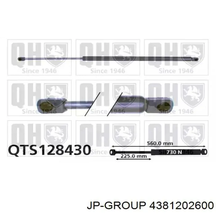 6025300735 Renault (RVI) Амортизатор кришки багажника / двері 3/5-ї задньої