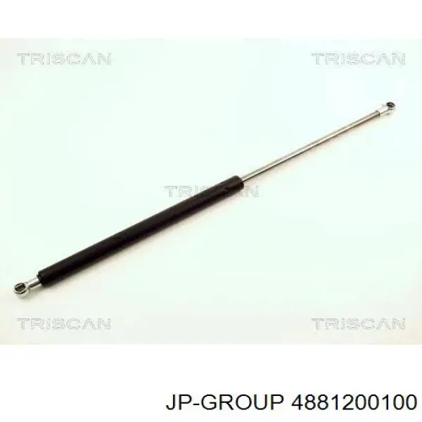 Амортизатор двері задньої JP Group 4881200100 ціна, від 5.28 USD